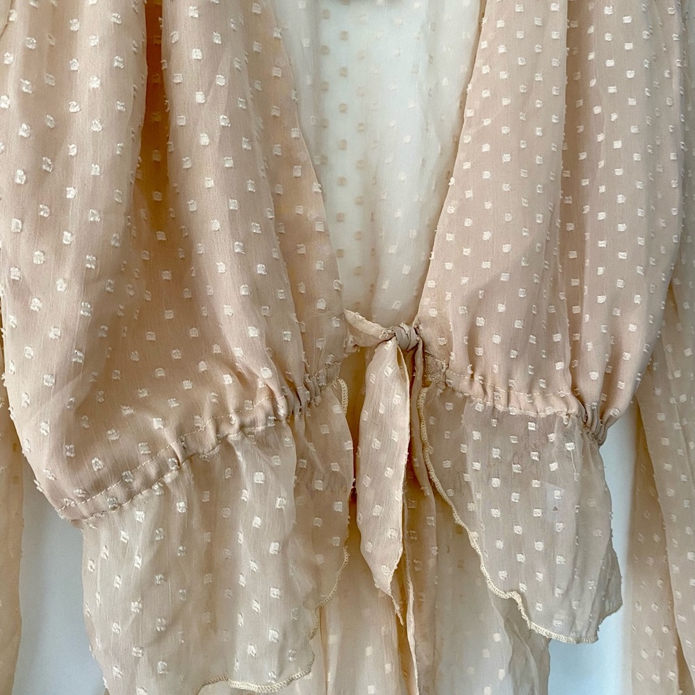 Nude Sheer Romantic Blouse - Picture 2 of 3